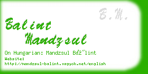 balint mandzsul business card